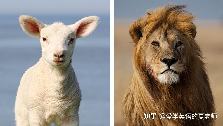 英语里为什么用“狮子”和“小羊”形容三月？ - 知乎
