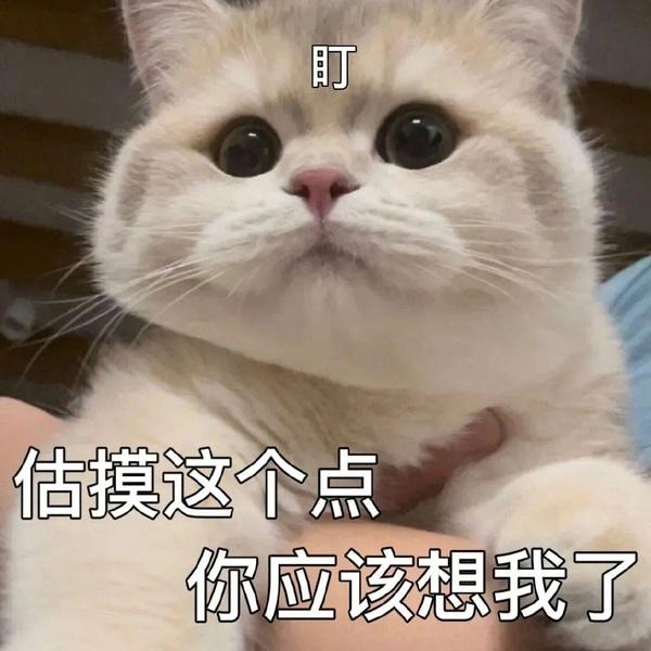 100个可爱表情包 - 知乎