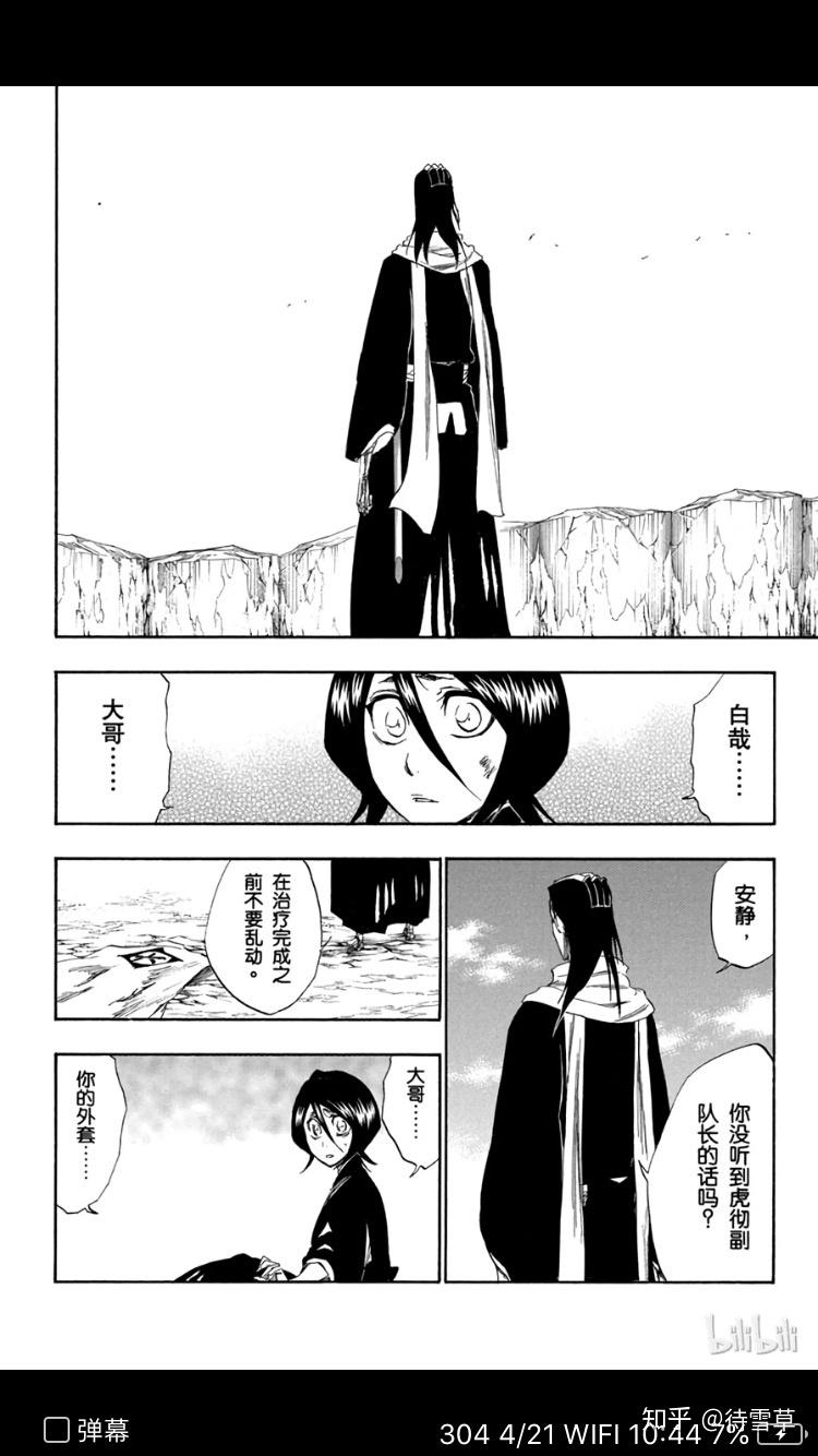 《bleach》人物解析:朽木露琪亚(四)——朽木白哉与朽木露琪亚