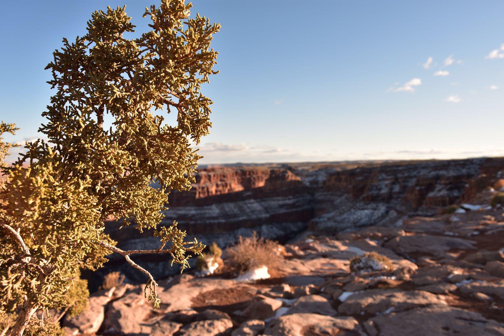摄影初学者有必要买全画幅相机吗?