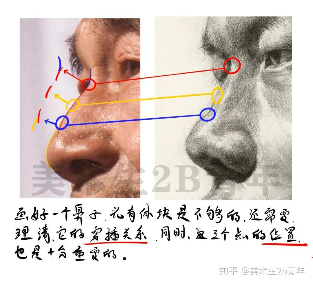 v2-fcbef5c2264027cc6a435fd7b3ea8b03_r.jpg