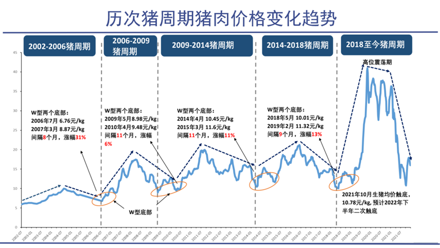 猪周期循环图图片