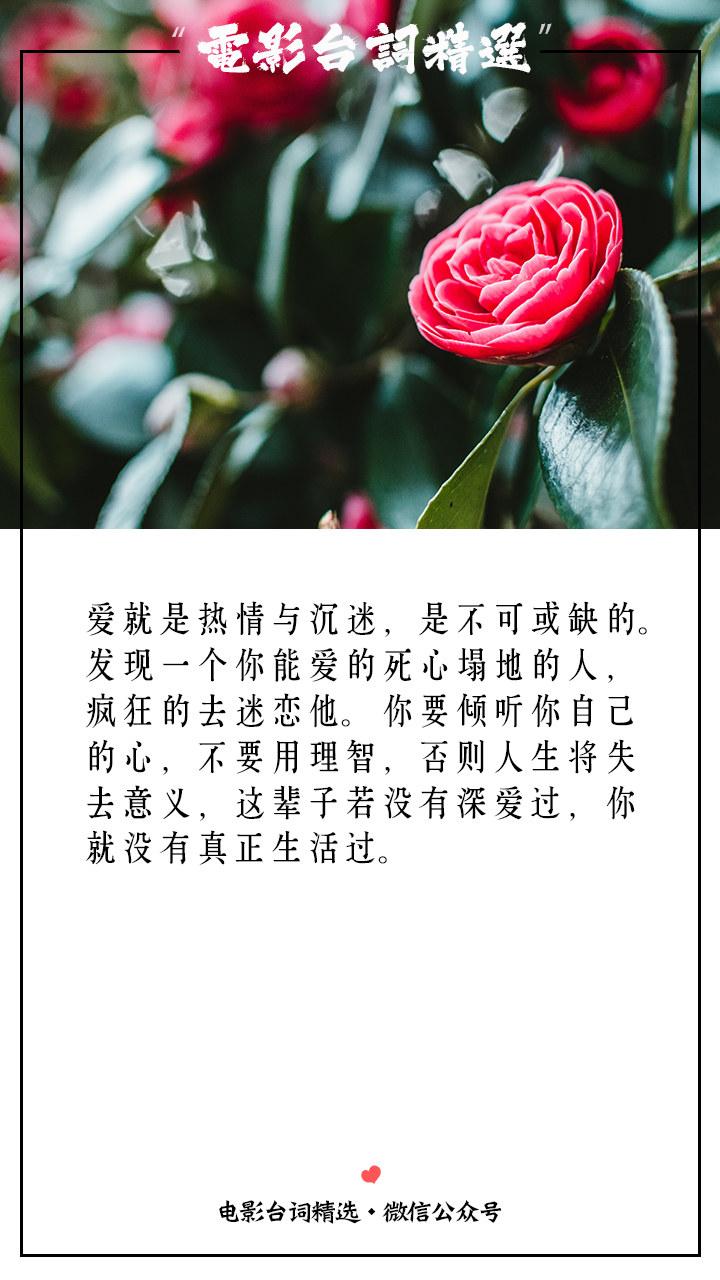 如果舍不得,放不下,那就痛苦吧——经典语录晚安句子 