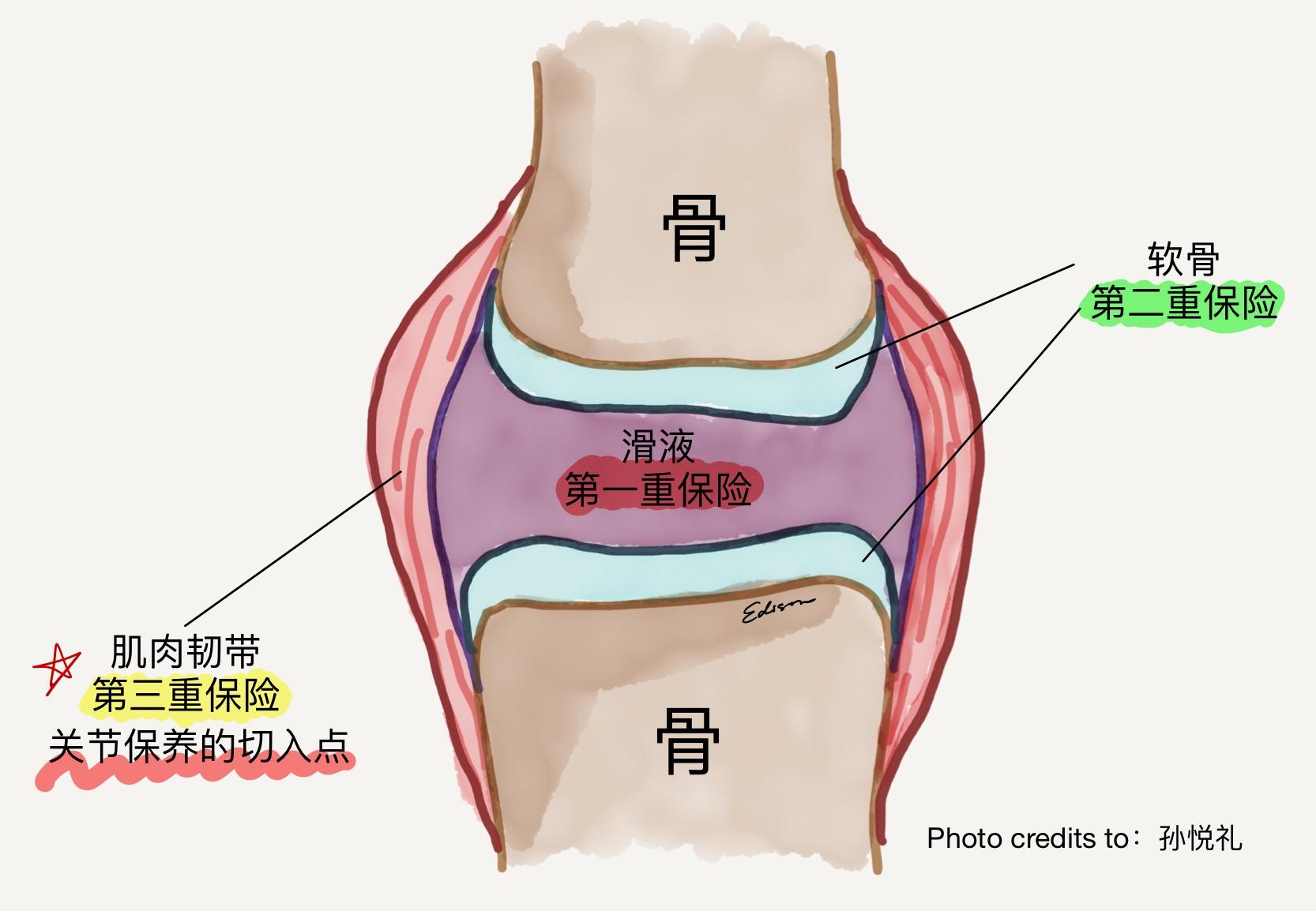 是时候给全身关节来一次大保养了