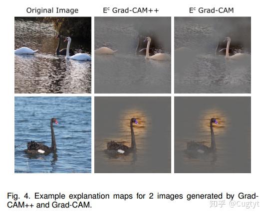 【论文翻译】Grad-CAM++，可视化卷积的升级 - 知乎