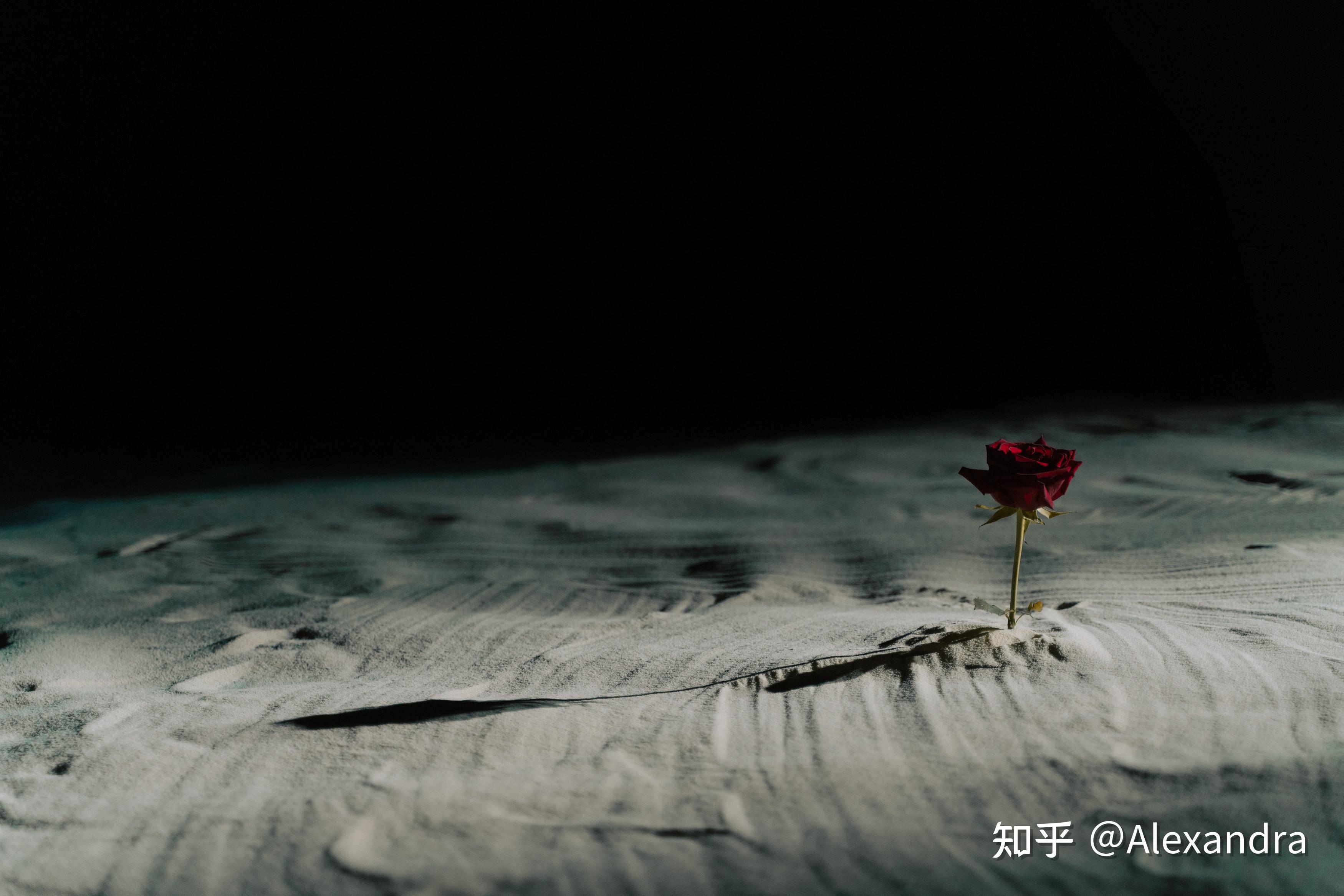  The Little Prince Chapter1 Chapter13 