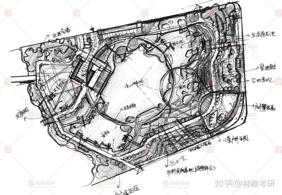 真题解析浙江农林大学2022风景园林快题解析之乡村湿地公园