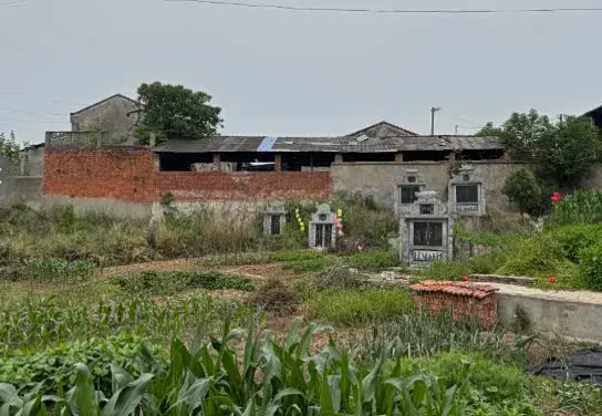 武汉一村庄585人62人患癌，村民怀疑与工厂有关，举报4年无果，哪些信息值得关注？哪些相关方该负责？