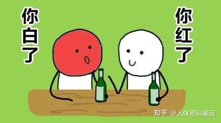 为啥有人喝酒脸红，有人喝酒脸煞白！基因检测告诉您！ - 知乎