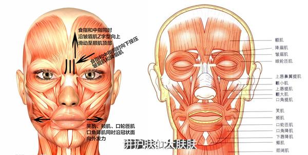 一起和川字纹说拜拜