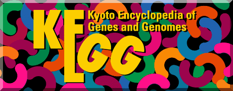 kegg数据库不会下载了解下api