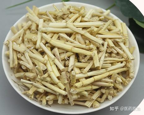 带你识别白茅根 - 知乎