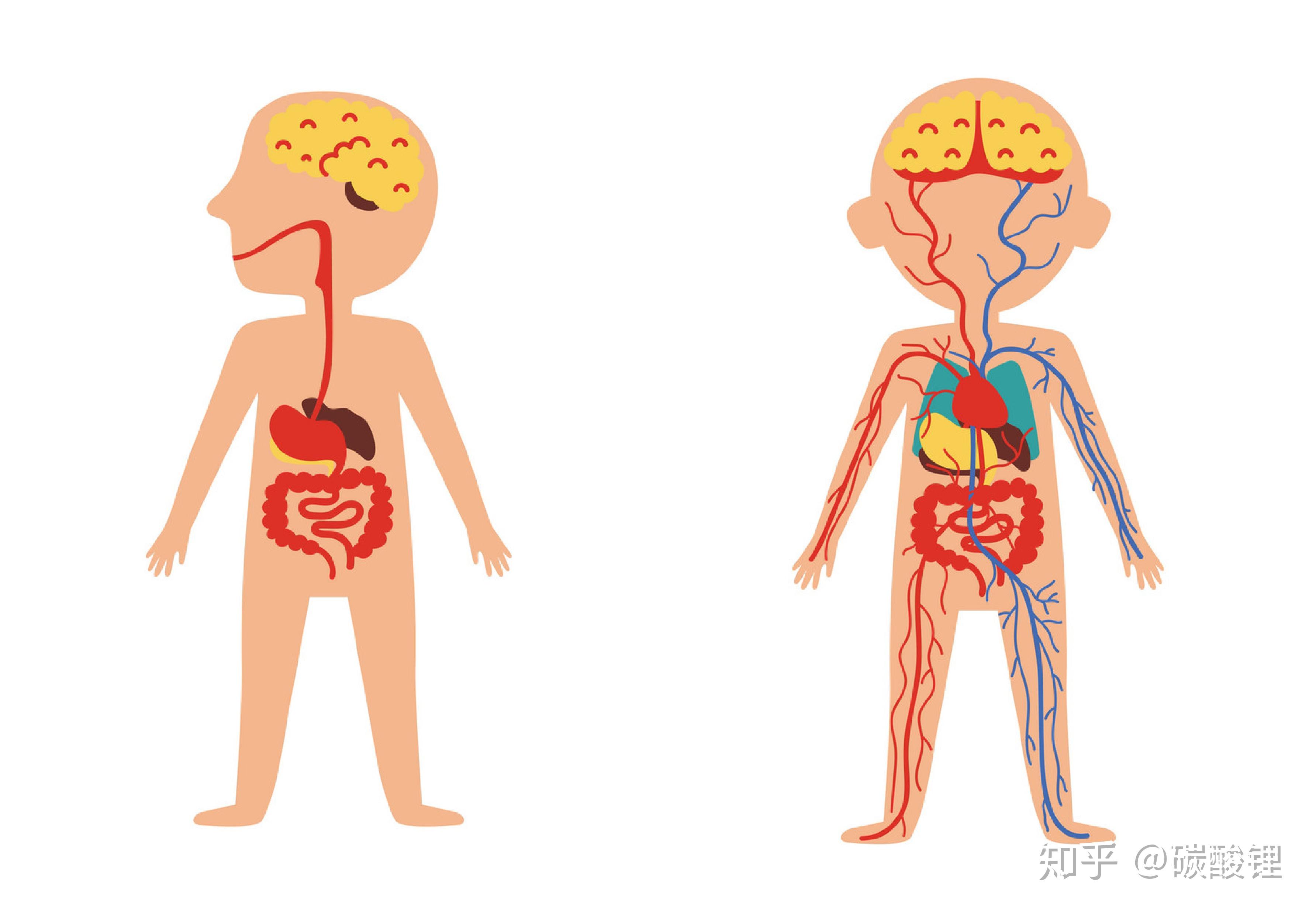 神兽麻醉 我知道你很担心!