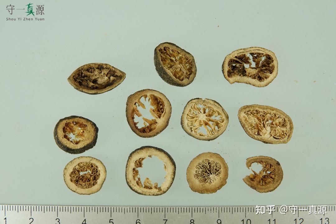 中药鉴定枳实的真伪优劣鉴别