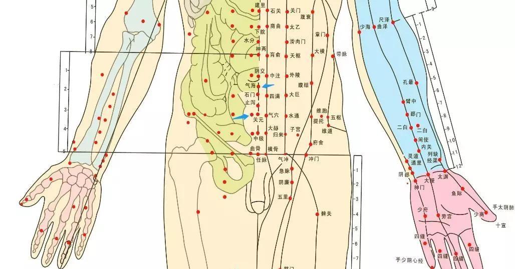 v2-fd51b6b3ff3d94e51cb215e6924e318d_1440w.jpg?source=172ae18b