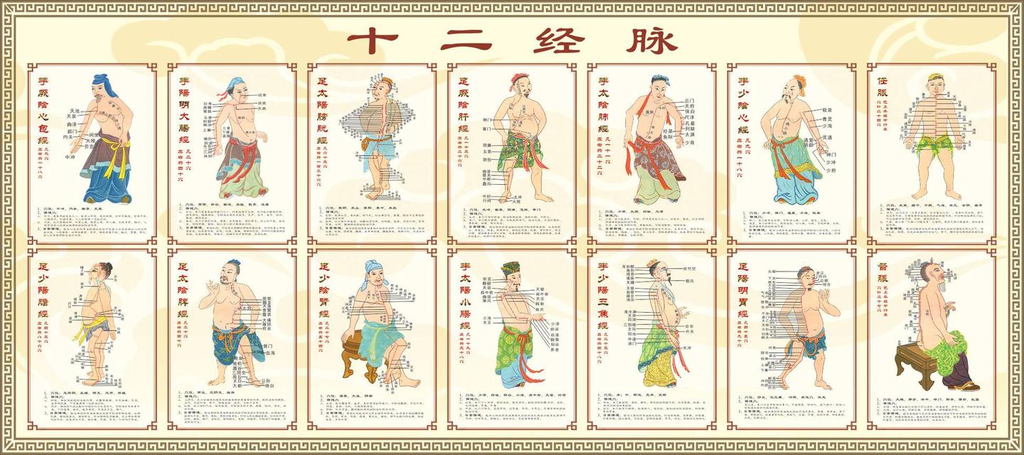 修真世界深度设定十二人文灵根