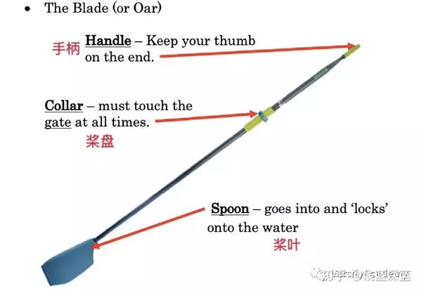 赛艇科普 | (二) 工欲善其事，必先利其器 - 知乎