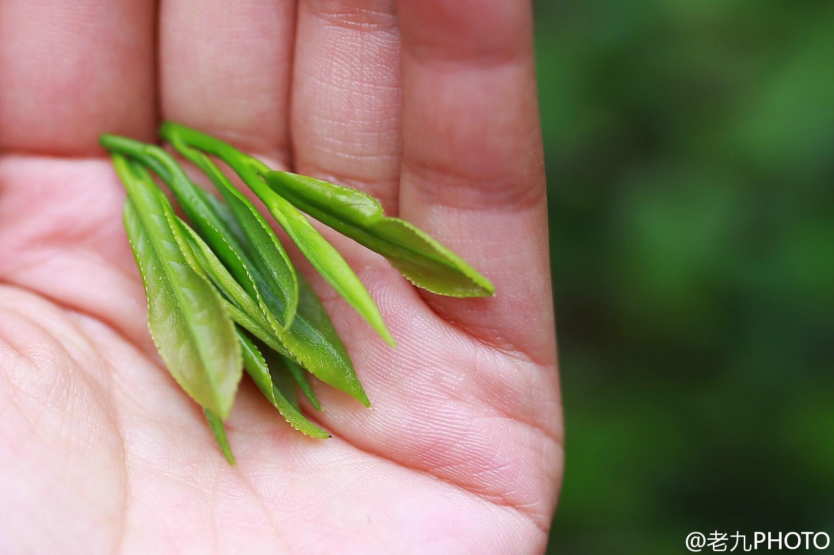 武夷山有什么好玩的?