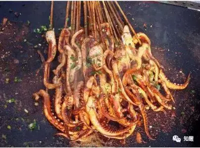 鱿鱼墨鱼章鱼乌贼 还在傻傻分不清吗 知乎