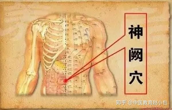 改善脾胃虚寒的10步法(实用) - 知乎