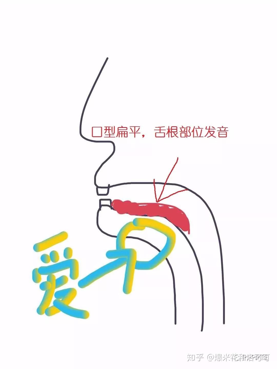 感受一下這兩個發音部位的區別