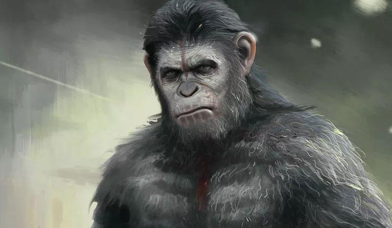 混的还特么不如一只猩猩!