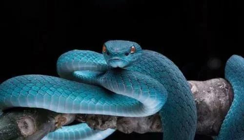 v2-fd7dcbb772af28cf5fca01e8410ed41f_1440w.jpg?source=172ae18b