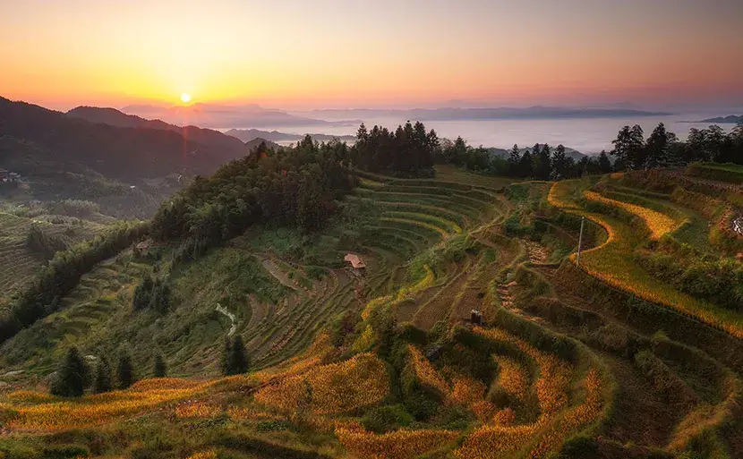 龙脊梯田日出