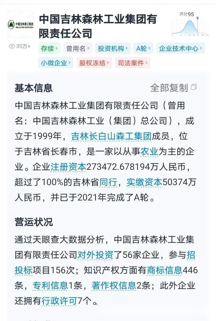 中國吉林森林工業集團有限責任公司由吉林長白山森工集團有限公司控股