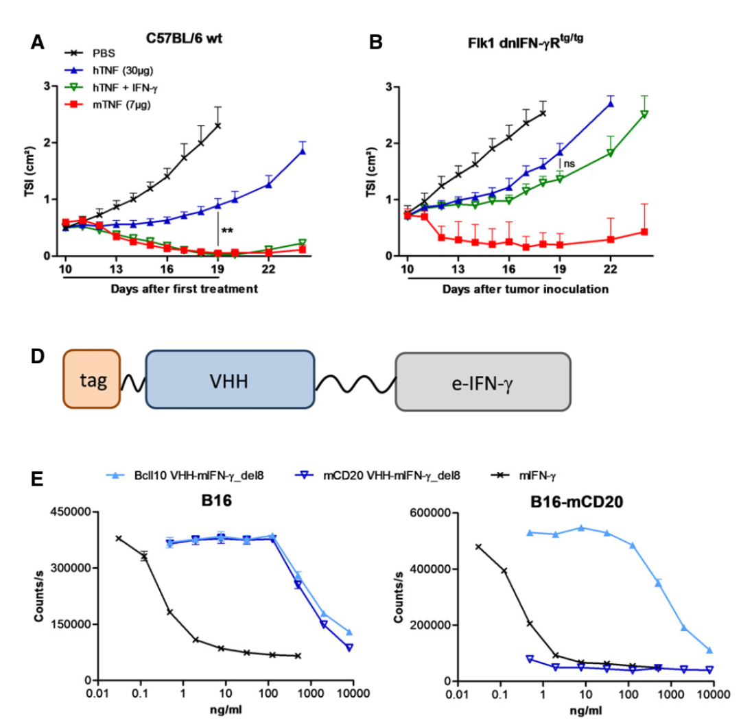 免疫干扰素IFNγ与肿瘤免疫 - 知乎