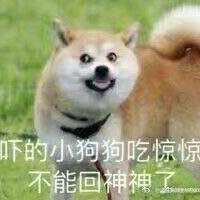 阿沈不睡觉