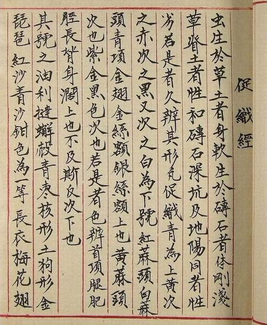 蟋蟀,俗称蛐蛐,书写名"促织",南宋宰相贾似道曾著《促织经》,"虫生于