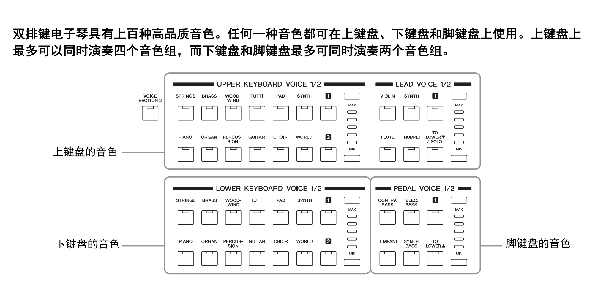 双排键小学堂二双排键在器乐中的优势分析