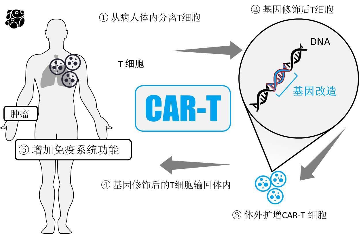 v2-fdb718b156ca6f501cff33895ac2eccc_1440w.jpg?source=172ae18b