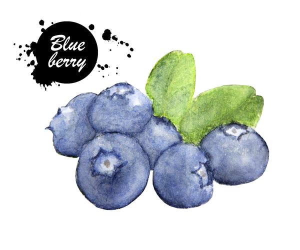 新西兰爵士湾 <wbr>蓝莓酒，不一样的选择。