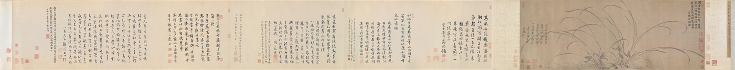 《墨兰图》赵孟坚 - 知乎