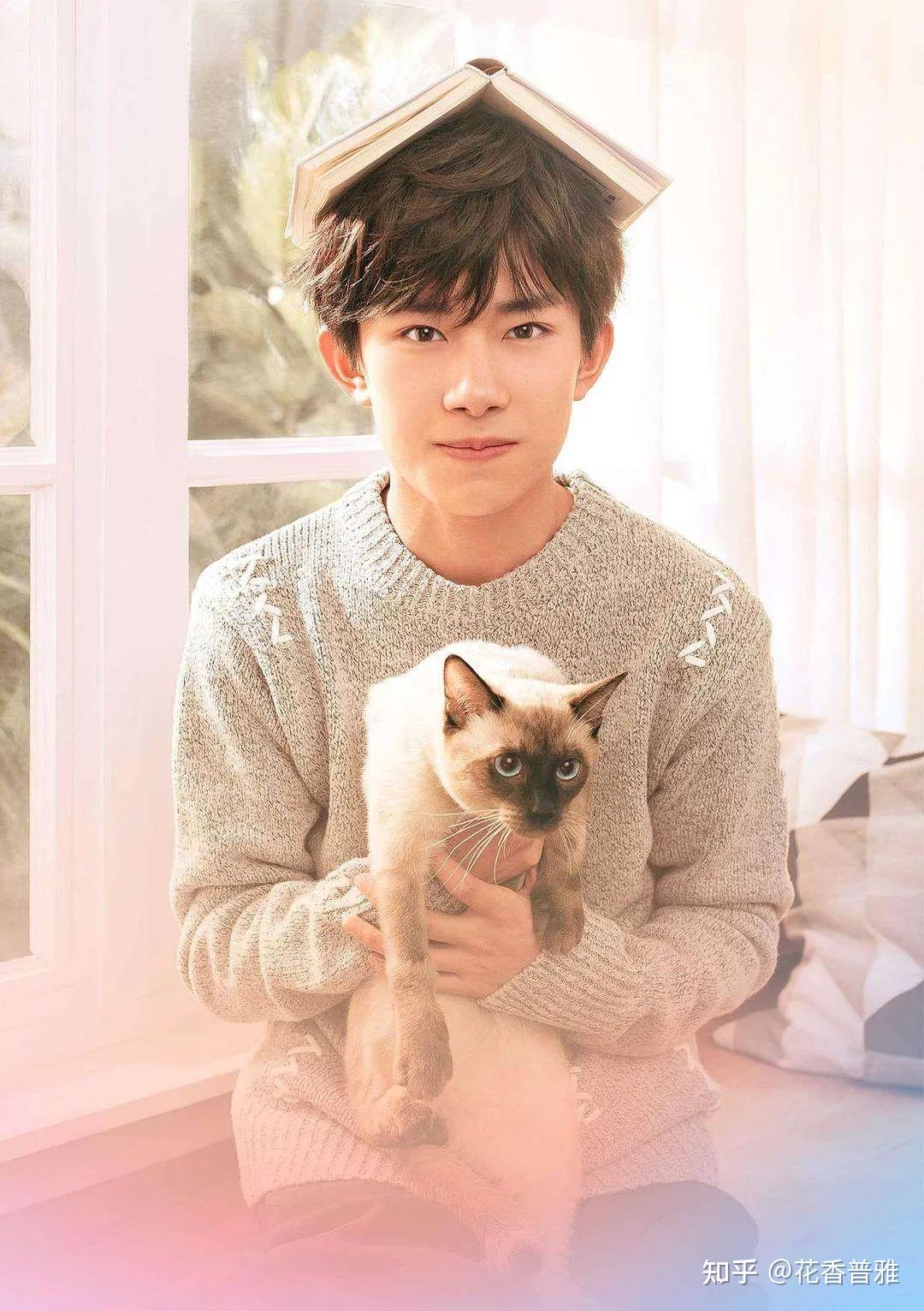 比如,新时代演员--易烊千玺就养了一只暹罗猫~暹罗猫有着非常强的适应
