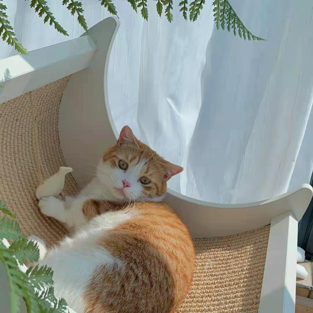 v2-fddca7c63935ce6baed0f7f60a304254_1440w.jpg?source=172ae18b