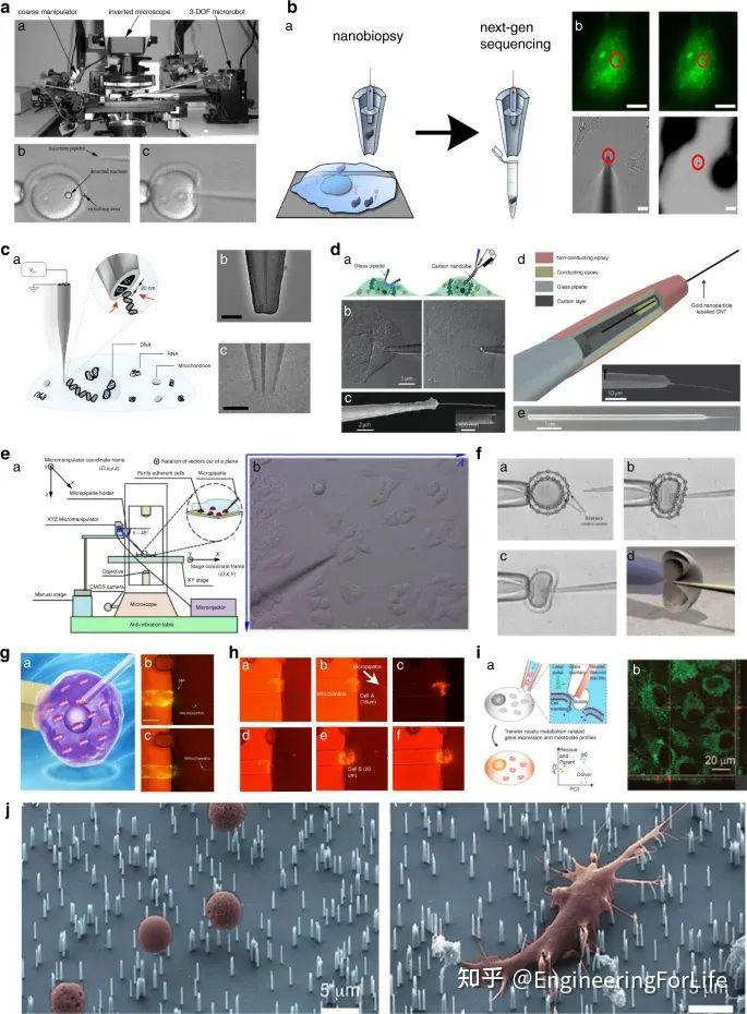 Microsystems & Nanoengineering综述：单细胞手术的先进工具和方法 - 知乎