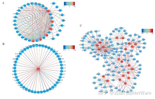 视频实操SCI作图课(17):高级相关性网络图 - 知乎