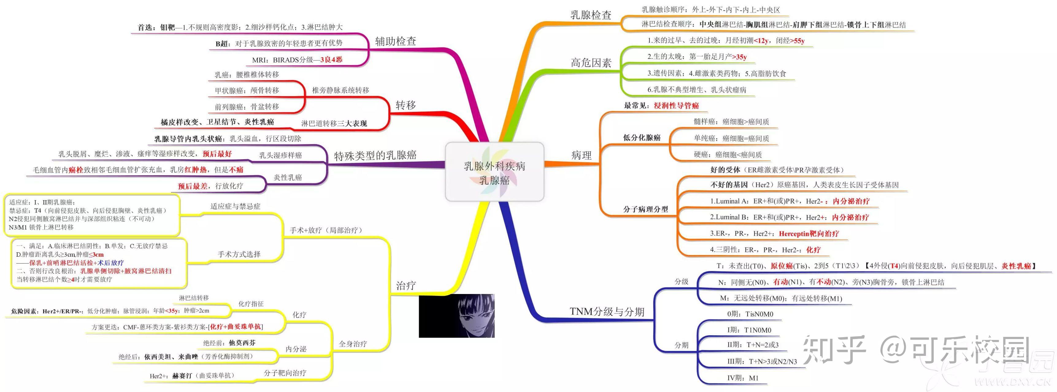 外科学思维导图