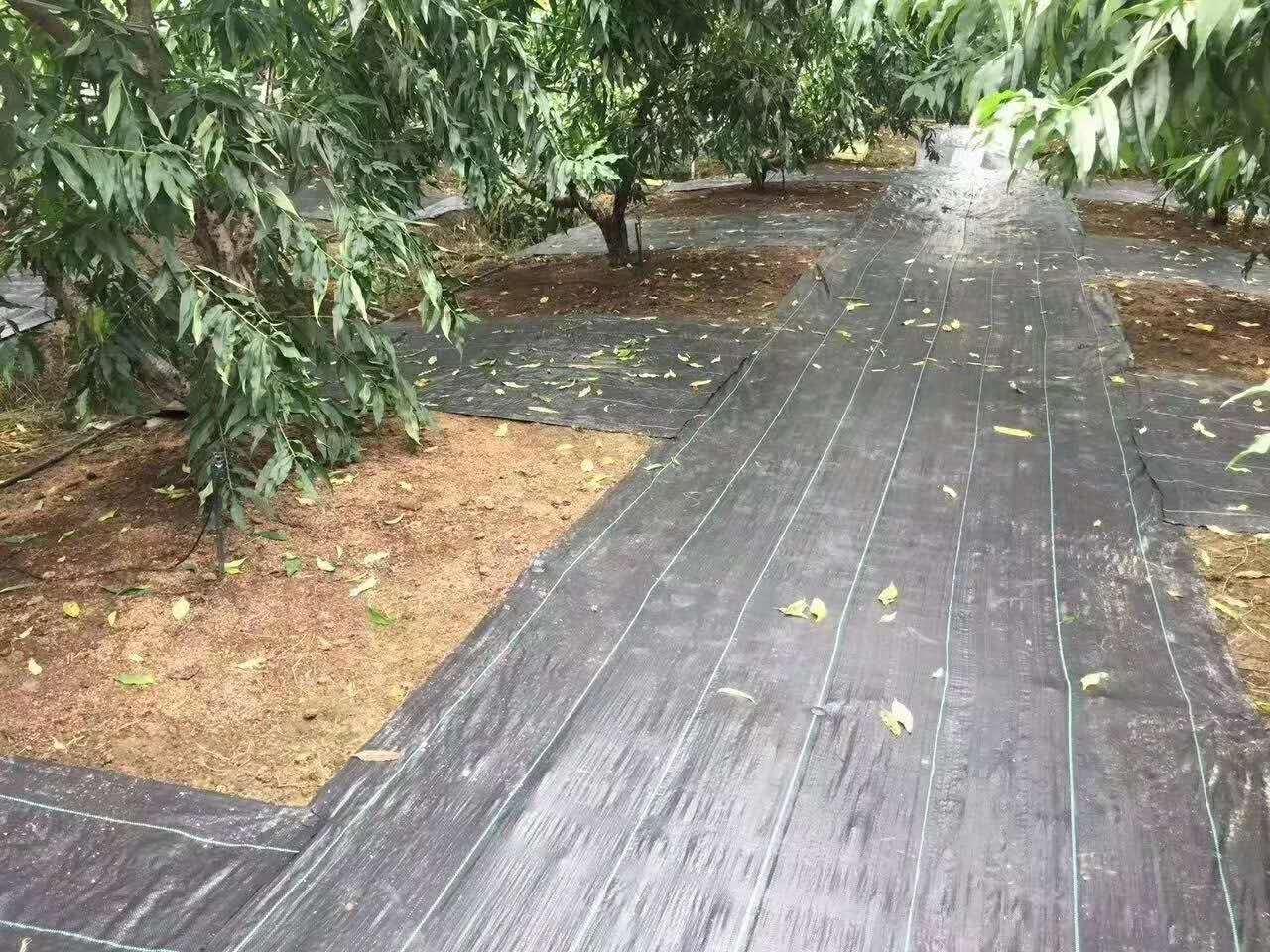 pe防草布防草布厂家果园用防草布多少钱一亩地