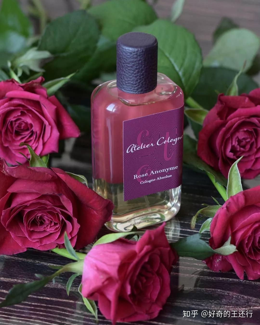 欧珑暗夜玫瑰无名玫瑰又美艳又杀人不眨眼