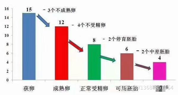 消失的卵子 取卵15个 为什么最后只配成4个胚胎 知乎