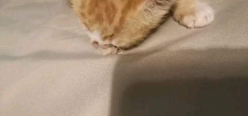 v2-fe54b6d6db14b9c07686ef81c4421830.jpeg