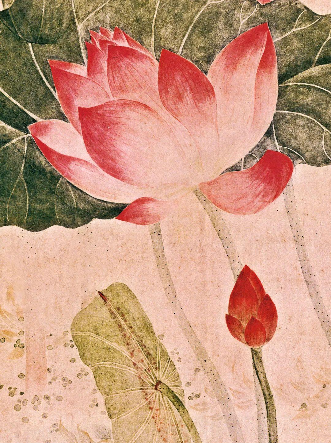 清吴应贞荷花图