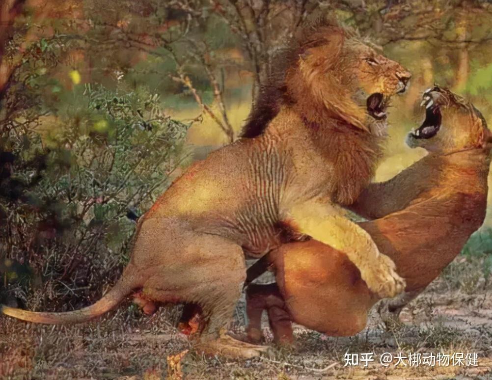 编辑67春天,无论植物或者动物都展现出惊人的生命力,在此时,有些