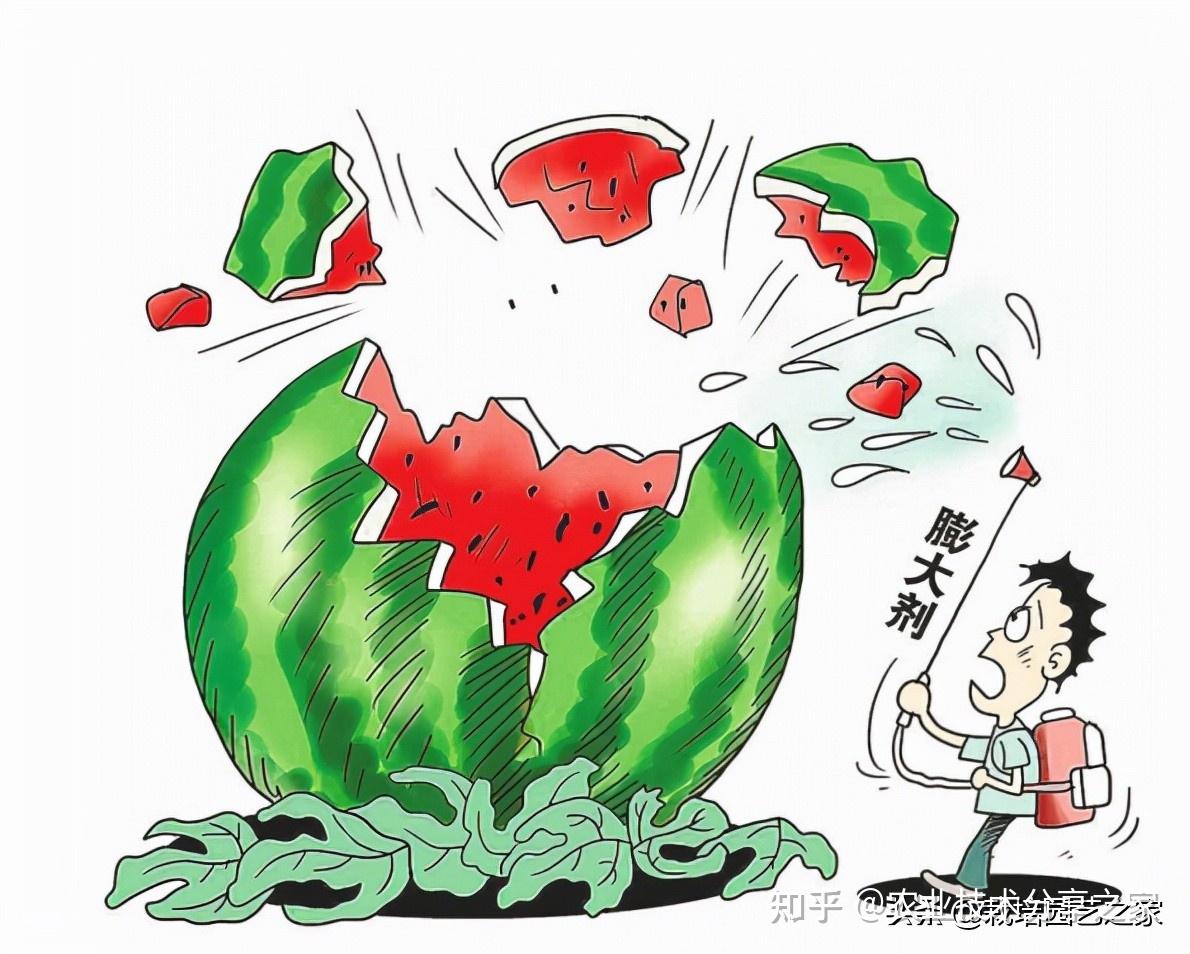 膨笑果实柔性膨大剂安全催生内源激素