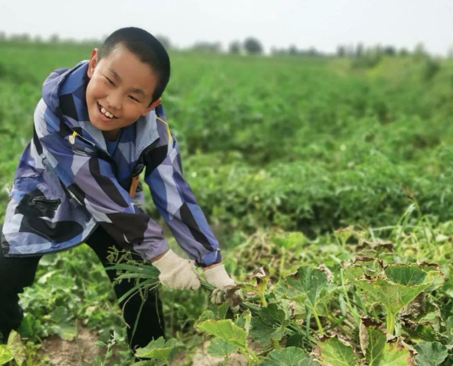 最美孝心少年石培昊图片