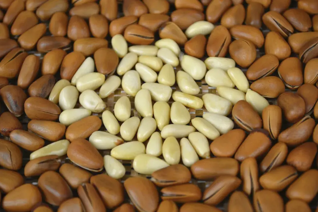 秋季必吃坚果榜!